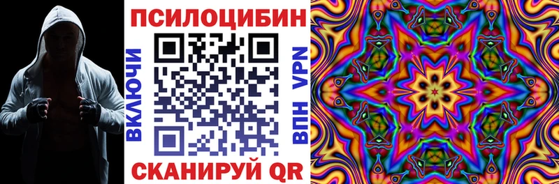 наркотики  Курчатов  Галлюциногенные грибы Magic Shrooms 