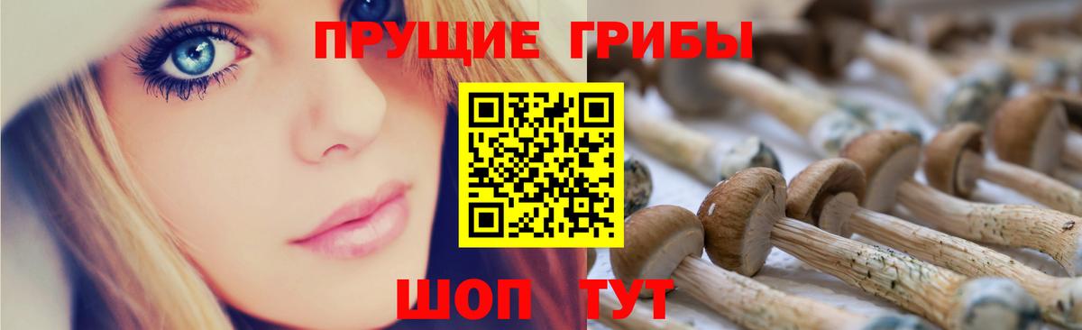 Галлюциногенные грибы Magic Shrooms Курчатов